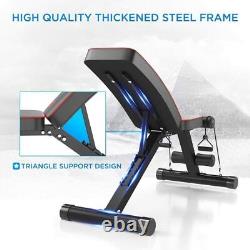 Workout Gym Adjustable/Foldable Bench with Compact Dumbbells Barbell Sets 30kg